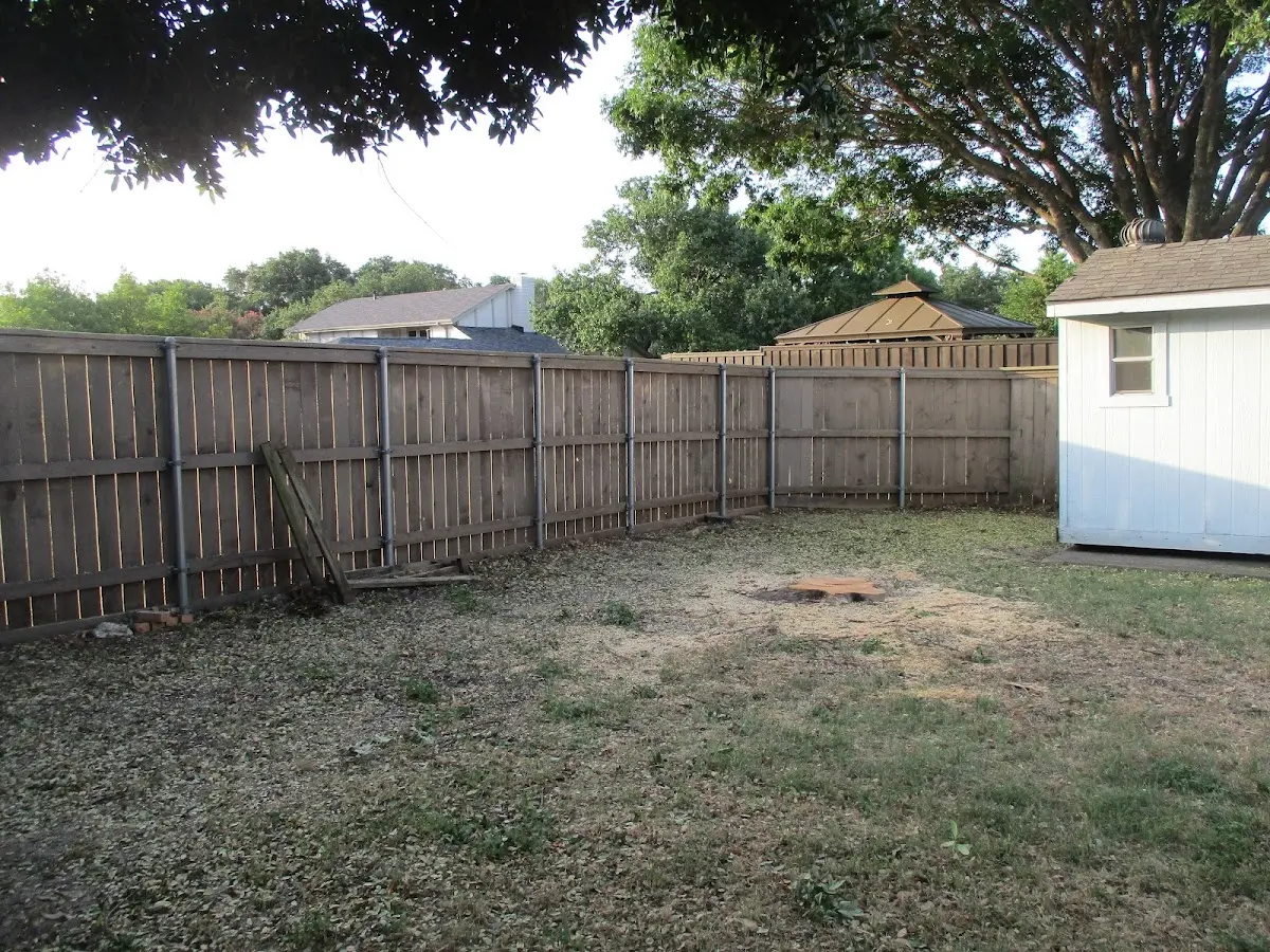Cleared yard after professional tree removal in Winfield