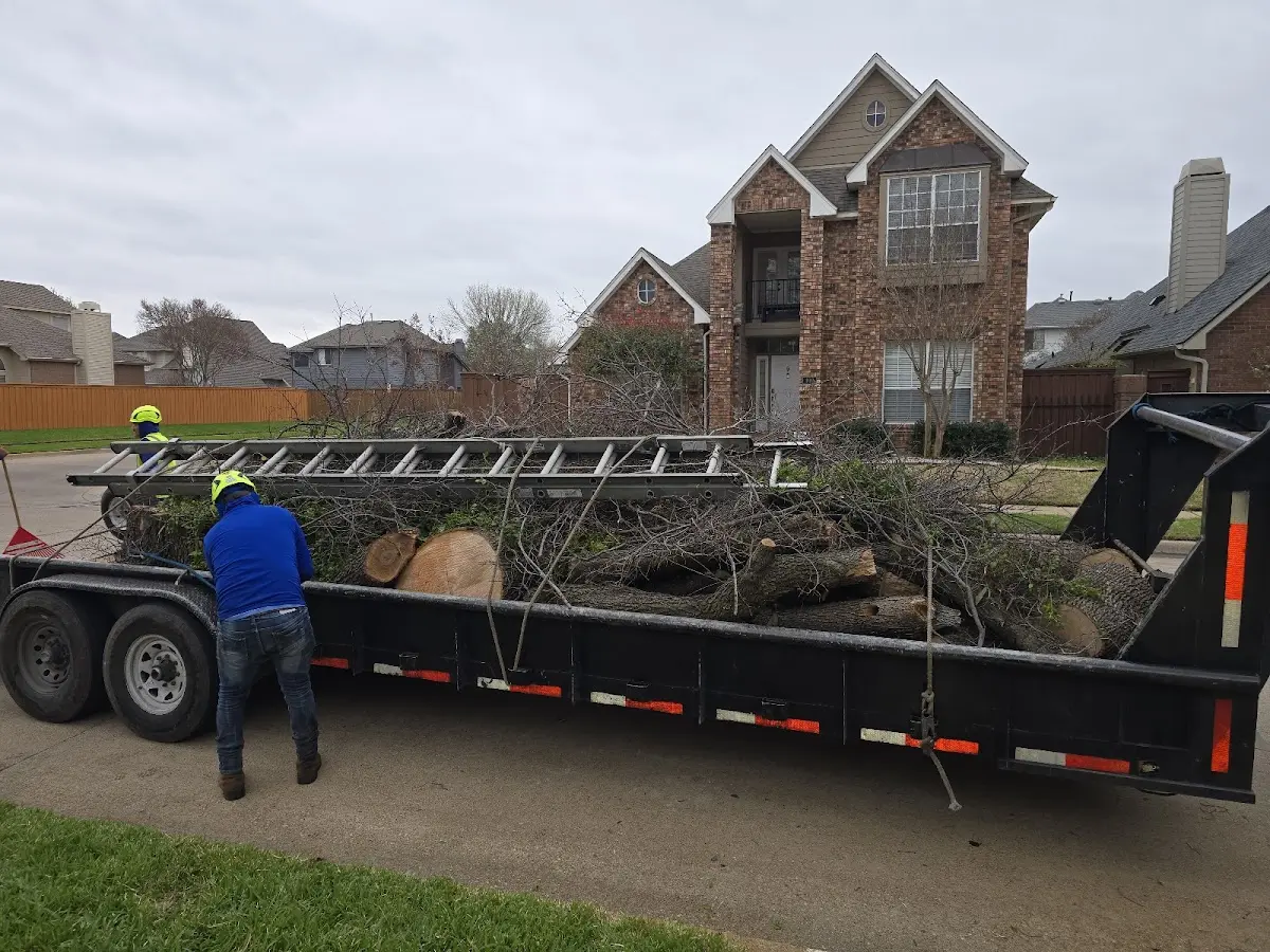 Expert Tree Pest Control with proper safety equipment in Winfield